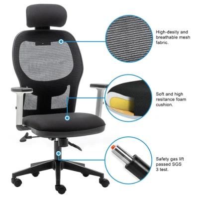Ergonomic Home Office Chair with Adjustable Lumbar Support and Armrests, Breathable Mesh Back and Padded Seat Desk Chair