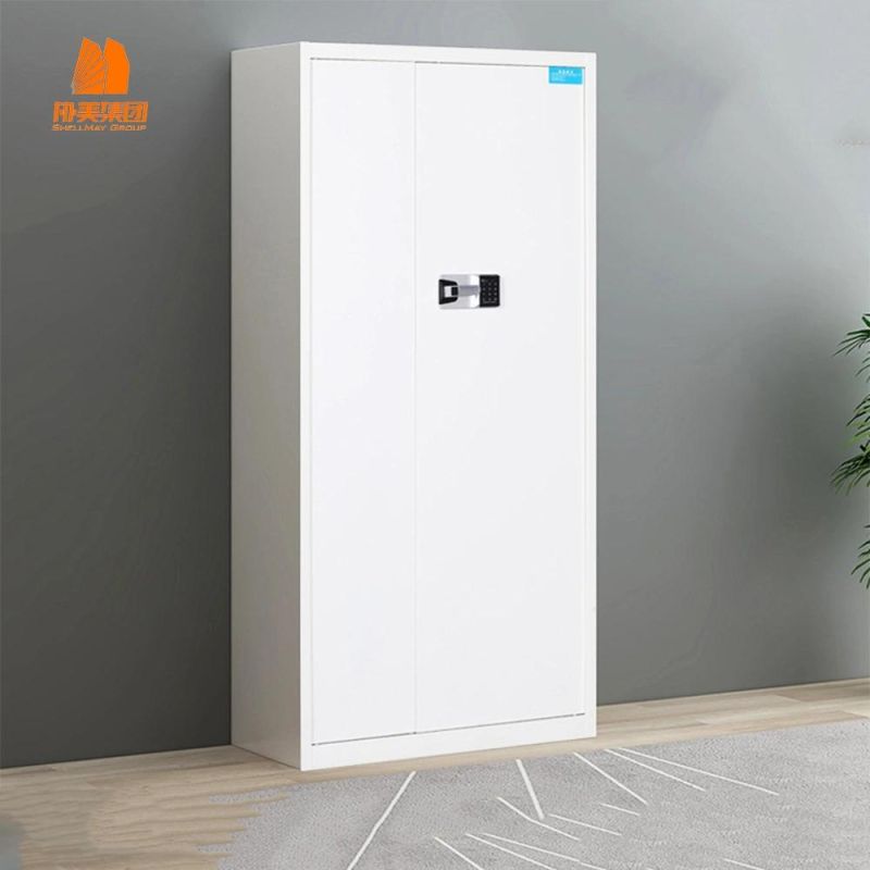 Important Data Storage Cabinet Metal Cabinet, Office Security Cabinet.