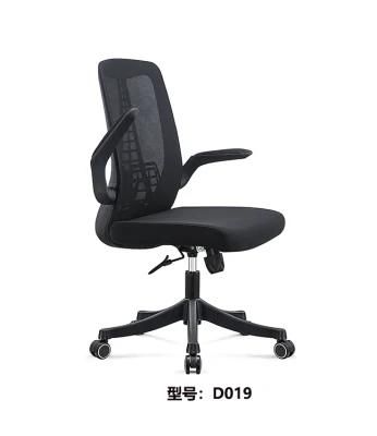 Ergonomic Computer Chair Lumbar Support Height Adjustable with Flip-up Armrest