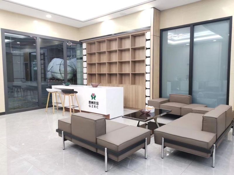 Zode Modern Home/Living Room/Office Furniture Europe Lounge Sofa Set Recliner Leather Living Room Sofa