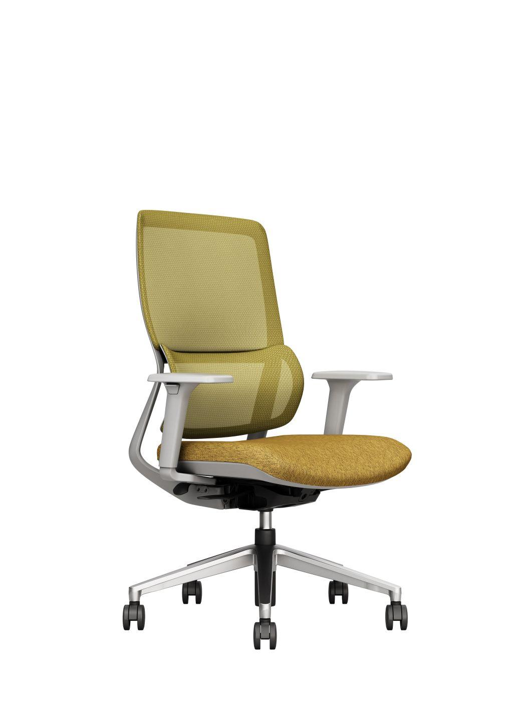 Swing Back New Design Ergonomic Chair Office Use