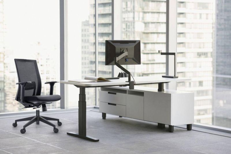 up and Down Lumber Support Mesh Ergonomic Chair Office Furniture