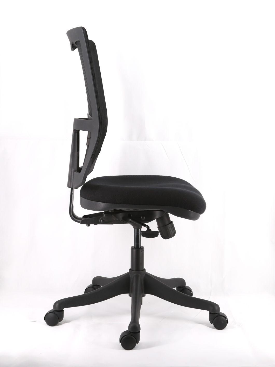 Mesh Upholstery Backrest with Lumbar Support Adjustable Armrest Simple Function Seat up and Down Mechanism Nylon Base Manger Office Chair