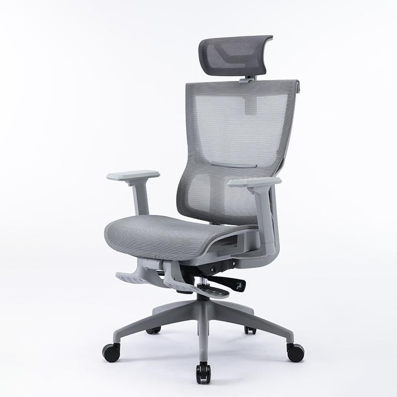 Li&Sung Ergonomic Computer Swivel Mesh Chair