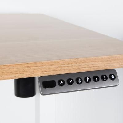 Modern Simple Office Desk Electric Height Adjustable Standing Desk