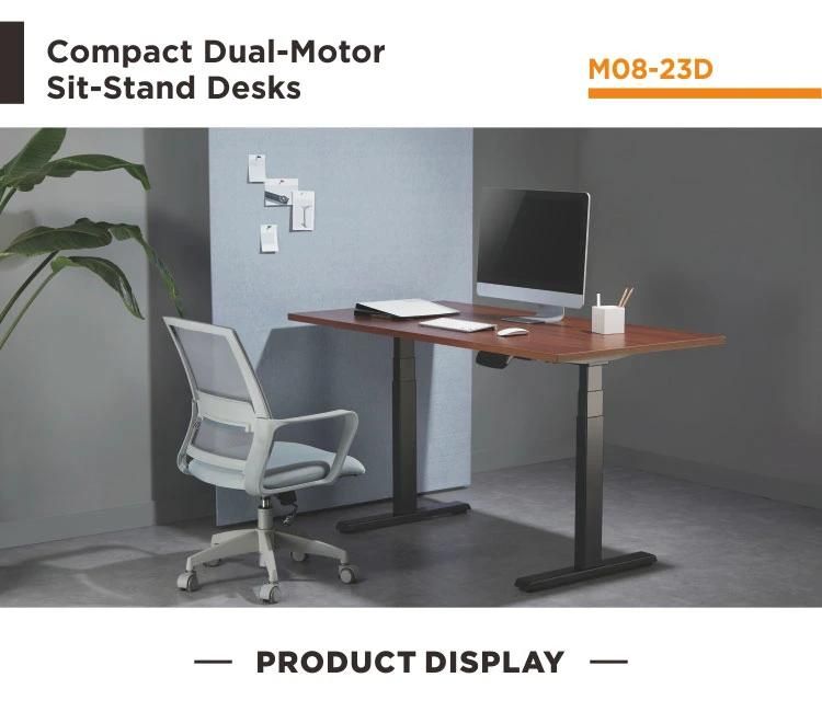 Customizable Office Ergonomic Dual Motors Electric Adjustable Standing up Desk