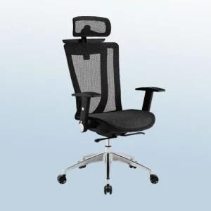 Office Chair (MS009)