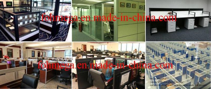 Customized Design Office Working Desk Partition (FOH-42CT)