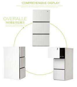 Perfect Knock Down Metal Cabinet for Files Storage