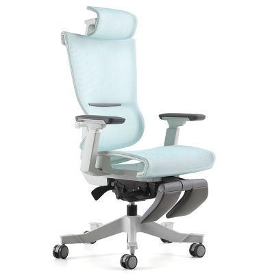 Ergonomic High Back Adjustable Medium Mesh Back Desk Chair