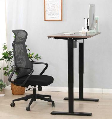 Elites Low Price Computer Desk with Two Motors Height Adjustable Standing Table Desk