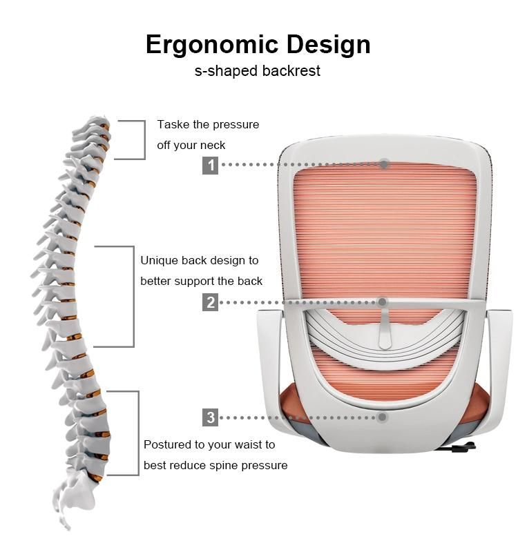 Adjust Armrest Comfortable Staff Office Chair