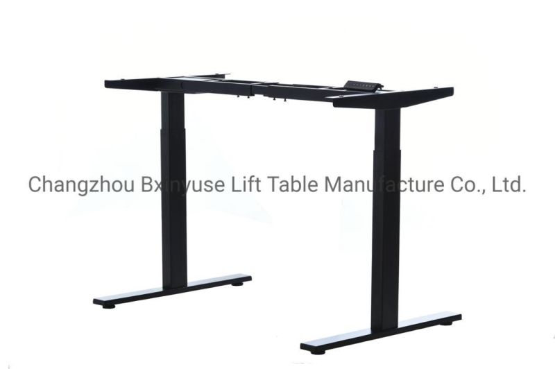 Ergonomic Sit Stand Two Motors Lifting Desk 48 Inch Table