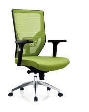 Green Function Armrest and Lumbar Support Adjustable Desk Chair
