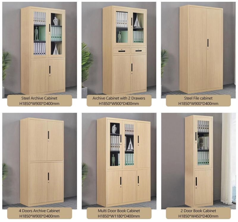 Modern 2 Doors Steel Book Cabinet for Home Office