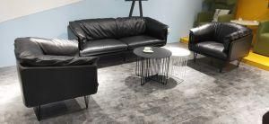 Leather Modern Sofa with Italy Office Furniture Design