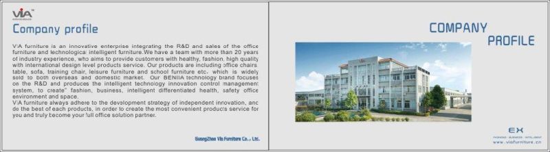 Wholesale Ergonomic Adjustable Middle Mesh Back Tilting Staff Task Home Office Swivel Office Chair with Lumbar Support