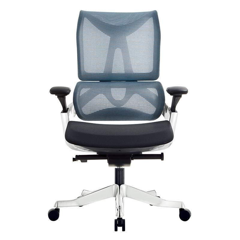 Ergonomic Chair Leather Chair Boss Chair Bionics