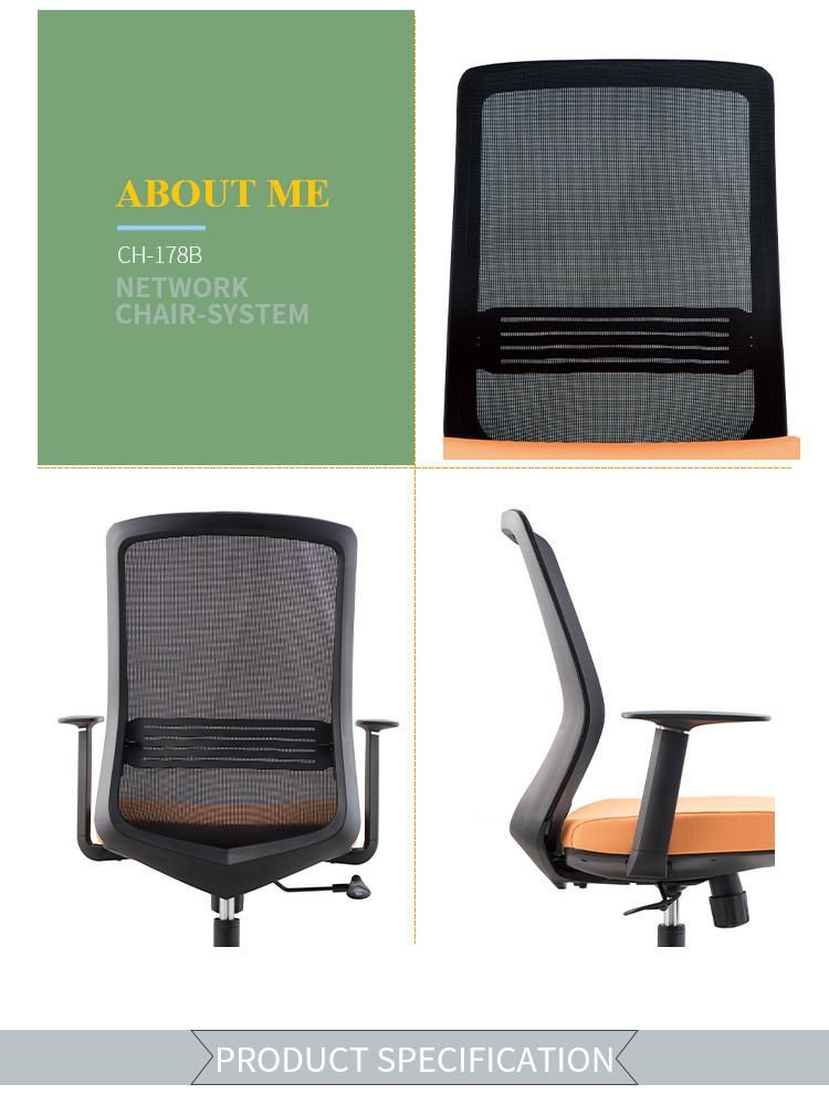 Professional Design Luxury Office Furniture Chair Office Staff Computer Mesh Chair