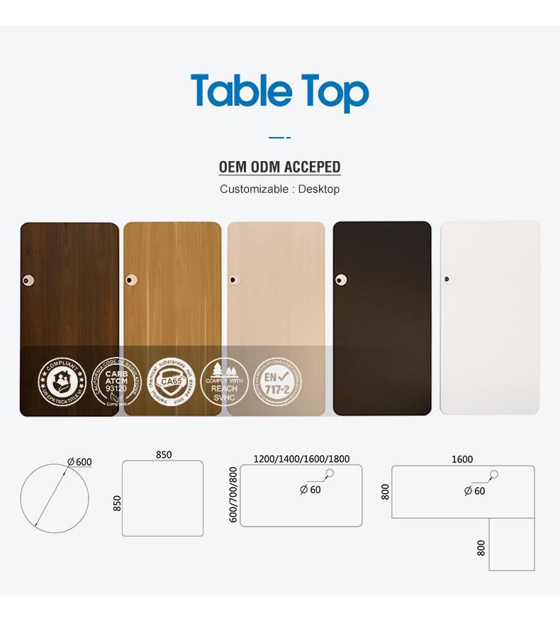 Stainless Steel Metal Electric Sit and Stand Desk Motorized Table