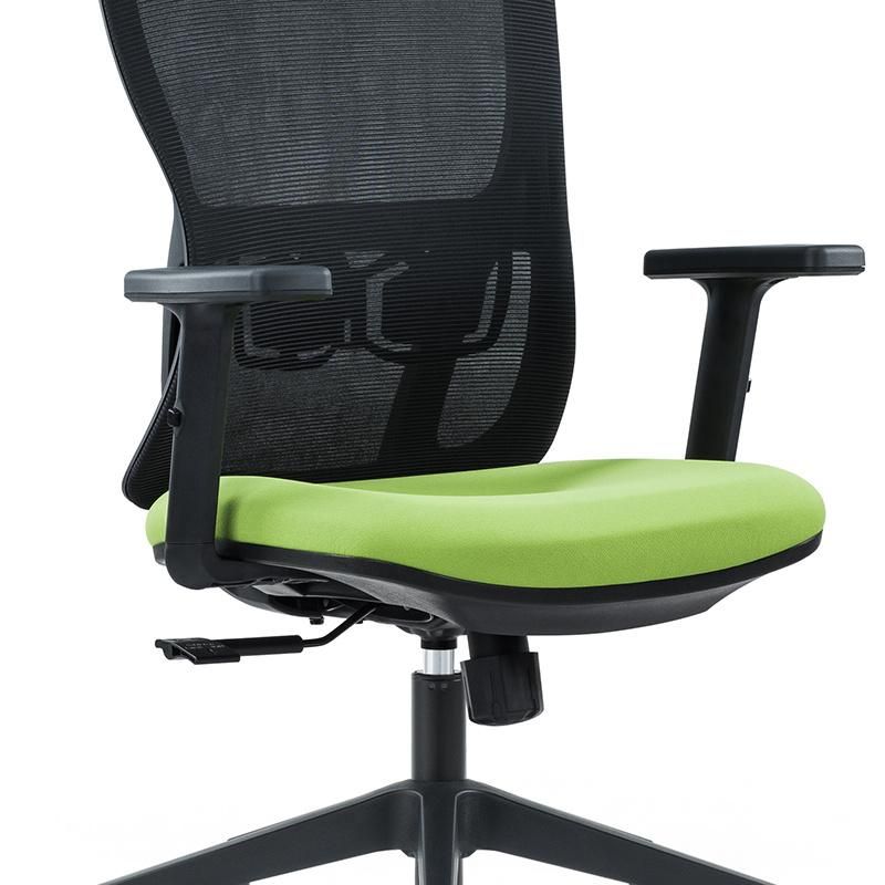Mesh Back Adjustable Arms and Lumbar Support Designer Office Chair