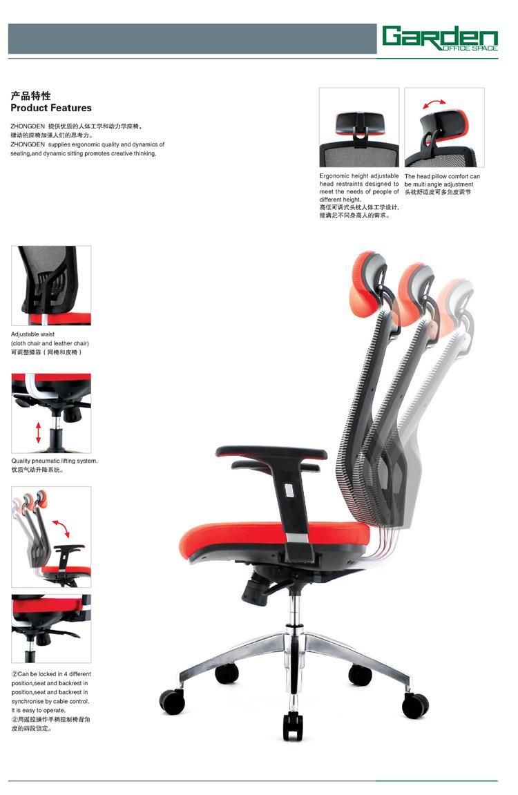 PP Back Ergonomic Task Chair with Nylon Swivel Back