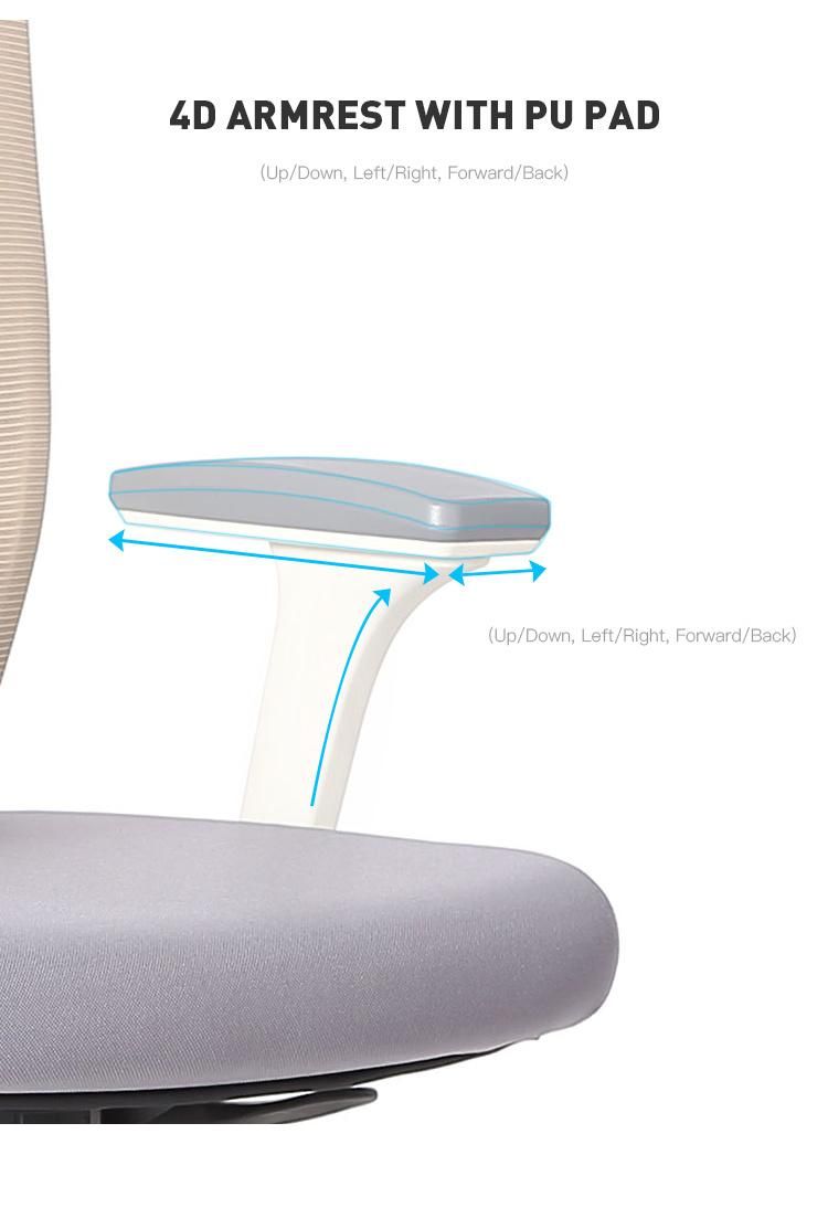 Li&Sung Multi-Functions Ergonomic Comfortable Executive Office Mesh Chair