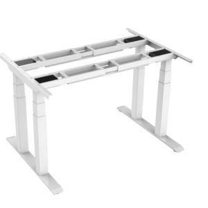 Loctek Ergonomic Furniture Multi-Motor 3 Staged Height Adjustable Desk