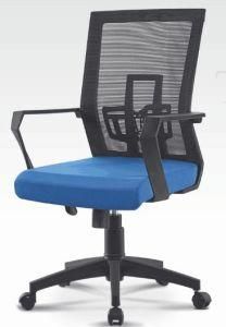 Black Mesh Blue Seat Lumbar Support Plastic Director Arm Chair