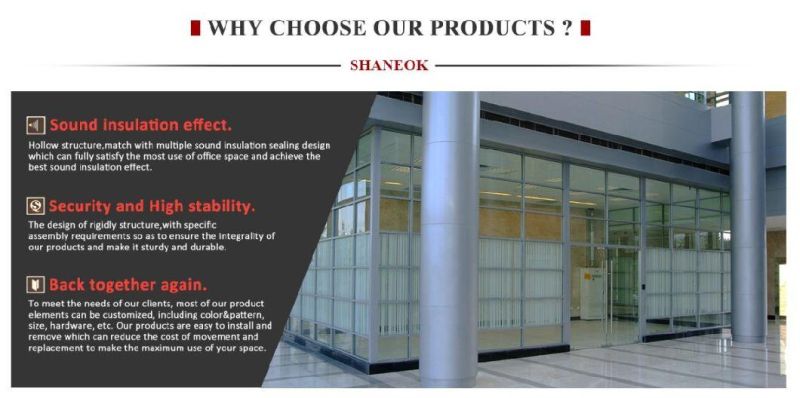 Customize Versatile Glass Wall for Office Partition