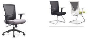 Mesh Meeting Chair, Conference Chair, Training Chair, Visitor Chair