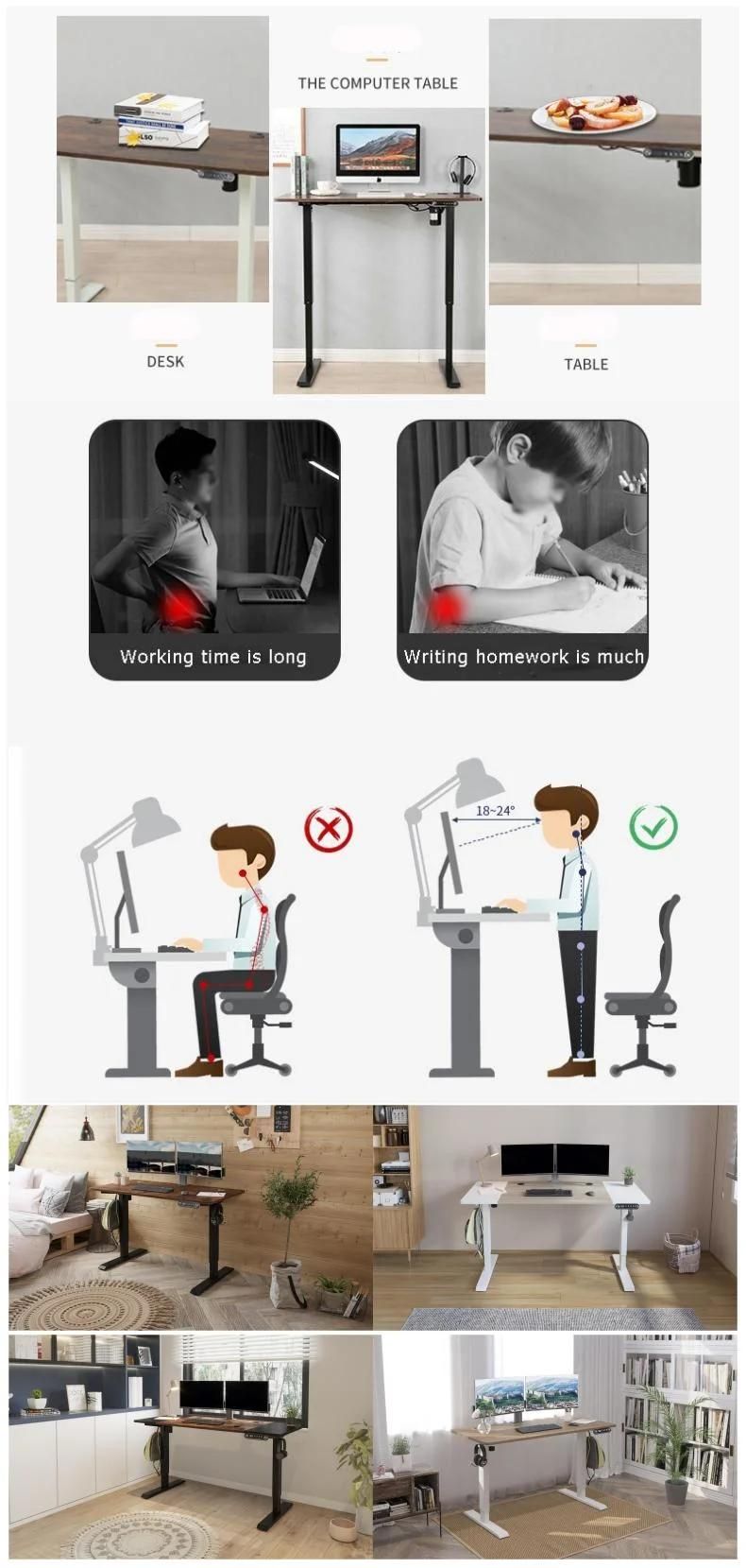 Elites Modern Office Use Home Use Height Adjustable Standing Desk