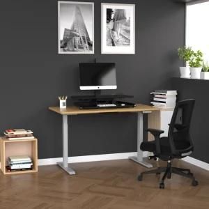 Modern Furniture Computer Table Low Noise Black Eelectric Single Motor Standing Desk