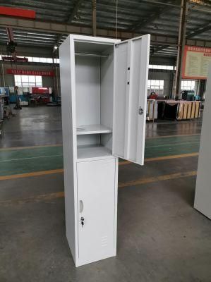 Vertical 2 Doors Single Steel Locker for Sale