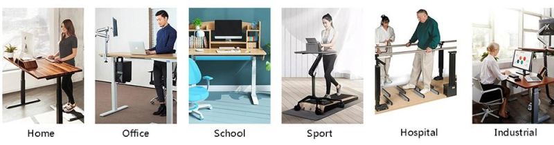 Office Table Furniture Dual Motor Anti Collision Ergonomic Electric Standing Computer Desk