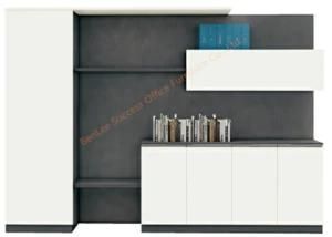 Modern Wooden Office Furniturefile Filling Cabinet &amp; Bookcase (BL-BMYCH28E)