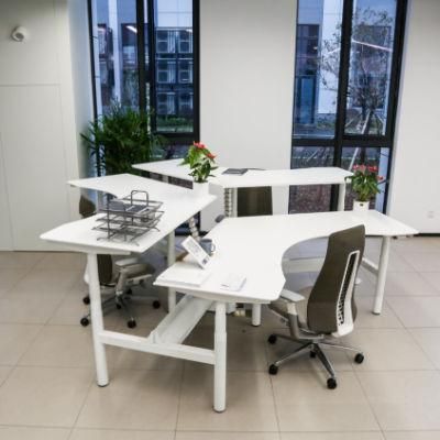 Mechanism Office Furniture Electric Height Adjustable Desk with Control Box Standing Desk Adjustable Desk Office Desk