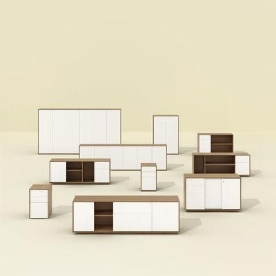 Wholesale Best Seller Wooden Filing Office Furniture Cabinet Display Storage