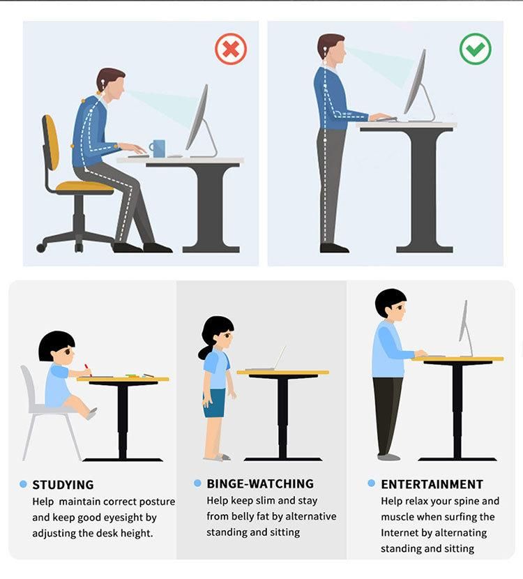 Ergonomic Office Electric Height Adjustable Sit to Stand Standing Desk