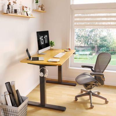 Standing Desk Height Adjustable Desk Electric Sit Stand up Desk Board Home Office Desks