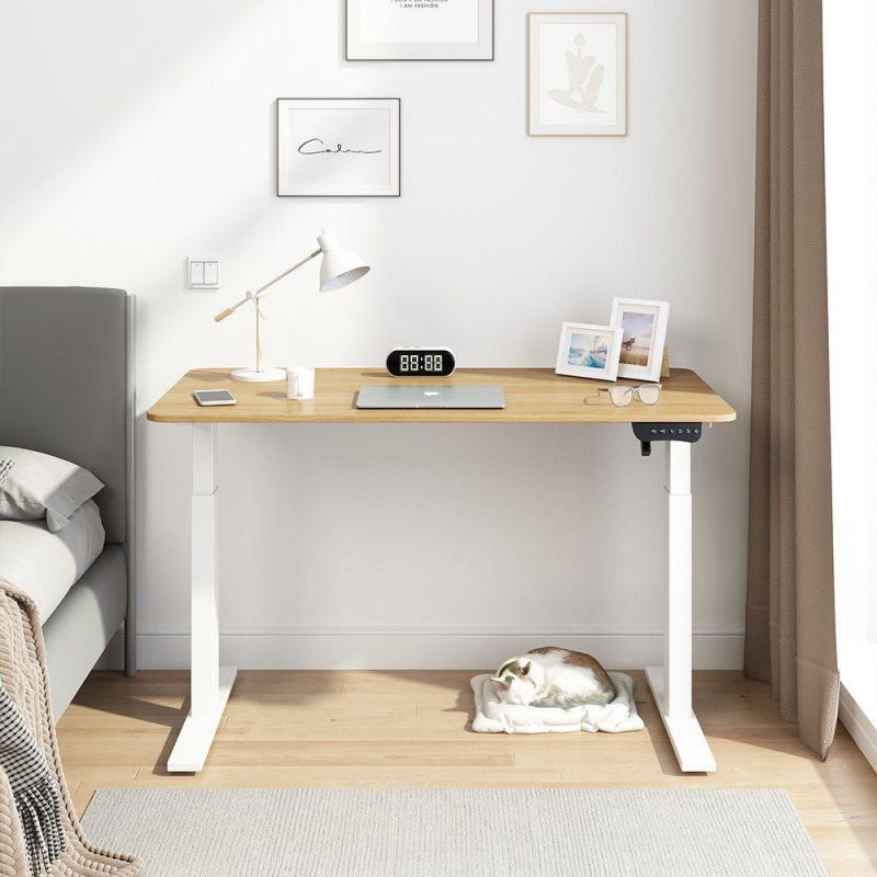 Luxury Executive Office Desk Modern Office Furniture Single Motor Electric Height Adjustable Table
