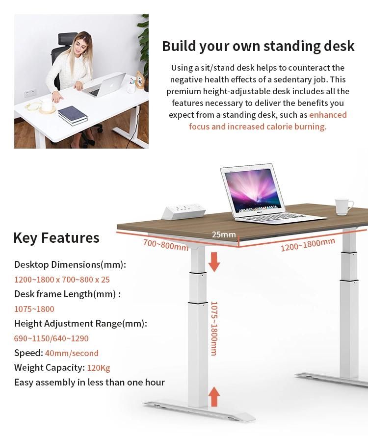 Adjustable Height Office Table Electric Intelligent Adjusting Sit to Stand Desk with Motor