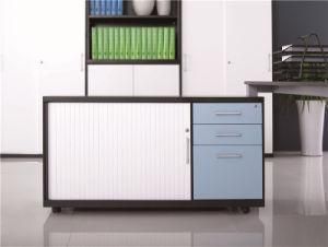 Outdoor Steel Furniture Mobile Caddy Filing Cabinet Tambour Door Library Furniture