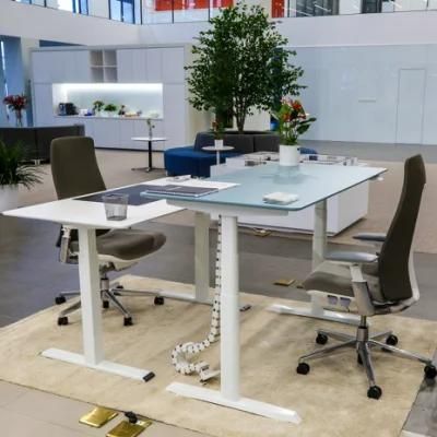 Motorized Dual Motors Square Leg Electric Height Adjustable Sit Standing Desk Adjustable Desk Office Desk
