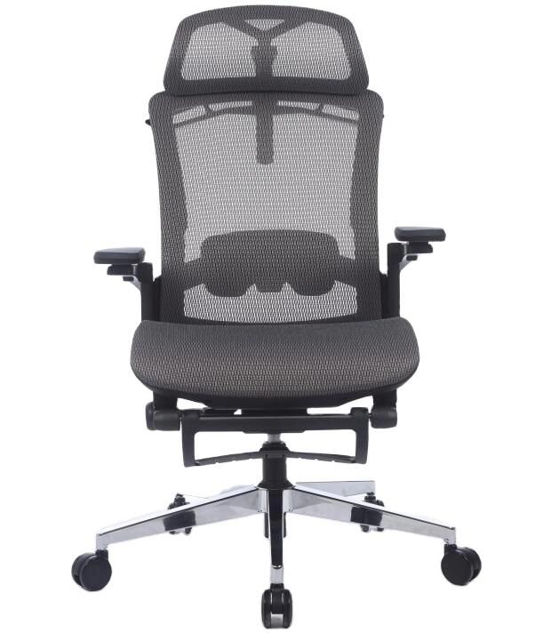 Mesh Modern Ergonomic Swivel Chair with Headrest and Back Coat Hanger
