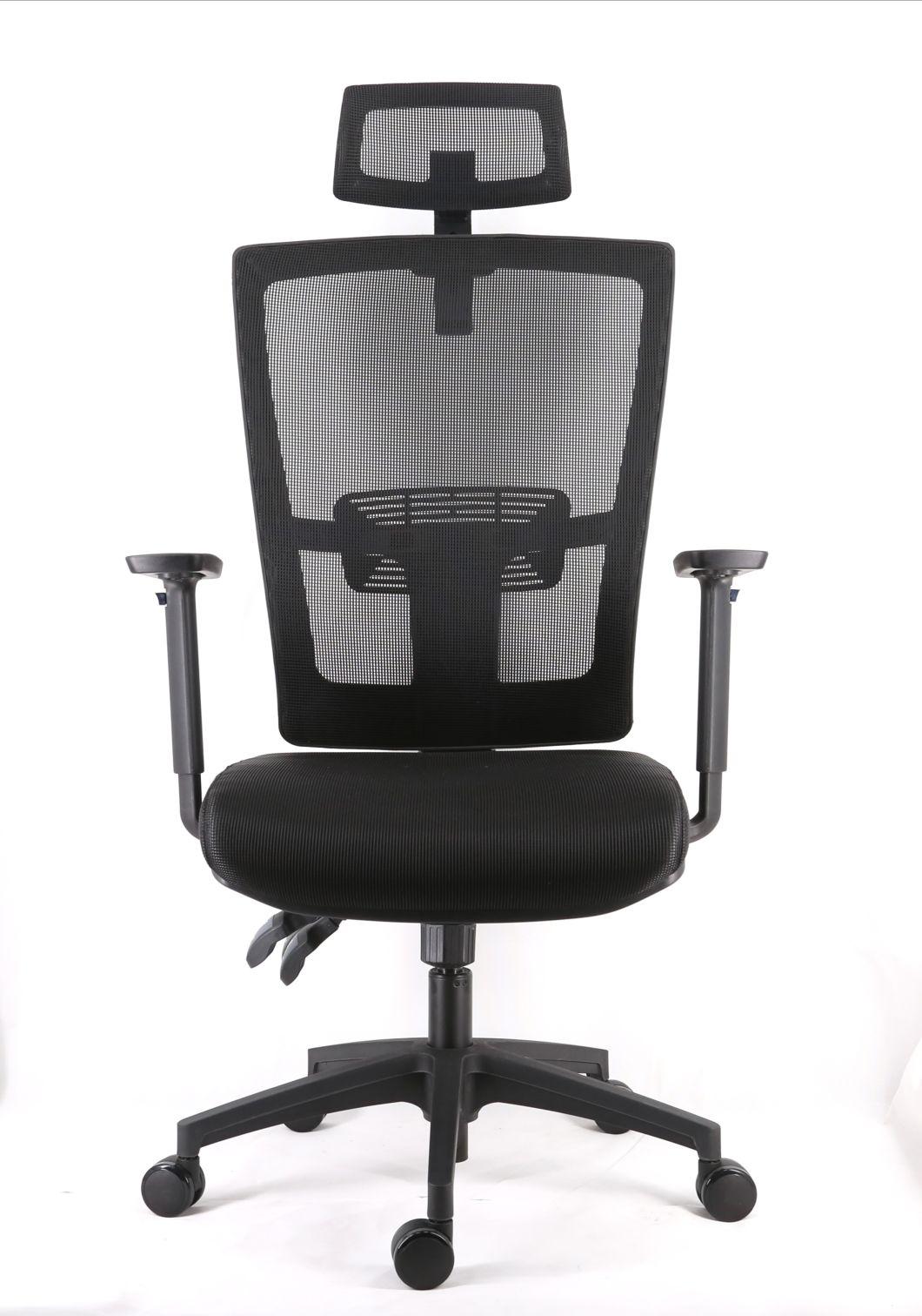 Mesh Upholstery Backrest with Lumbar Support Adjustable Armrest Simple Function Seat up and Down Mechanism Nylon Base Office Manager Chair