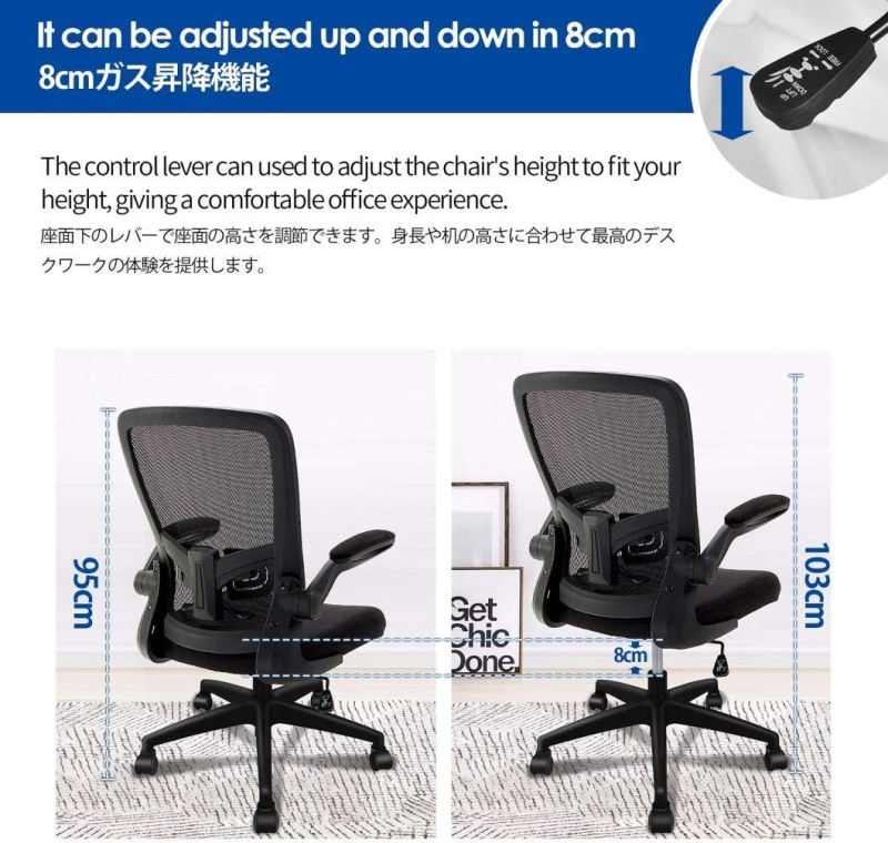 Li&Sung 10050 Ergonomic Lumbar Support Mesh Chair