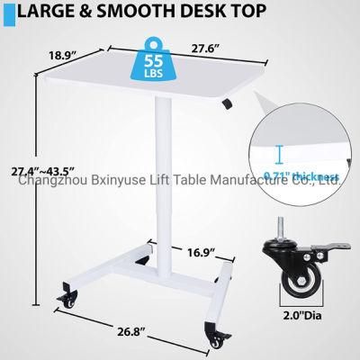 China Factory High Quanlity Standing Desk Classroom Workstation