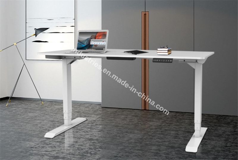 Ergonomic Office Project Electric Height Adjustable Sit Stand Desk