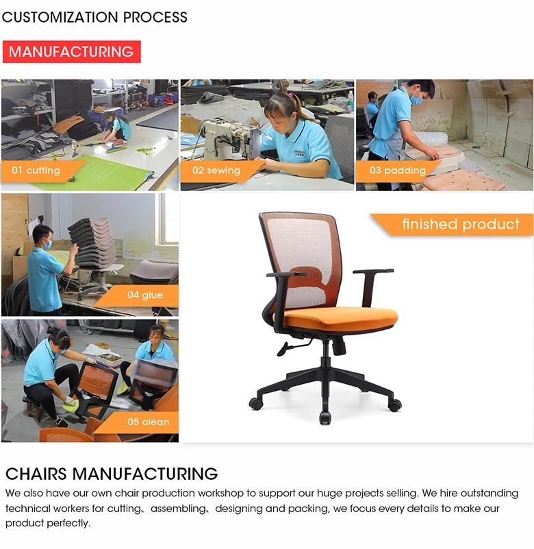 Height Adjustable Smooth Gliding Casters Metal Frame Stool Soft Cushion Office Ergonomic Swival Staff Chair